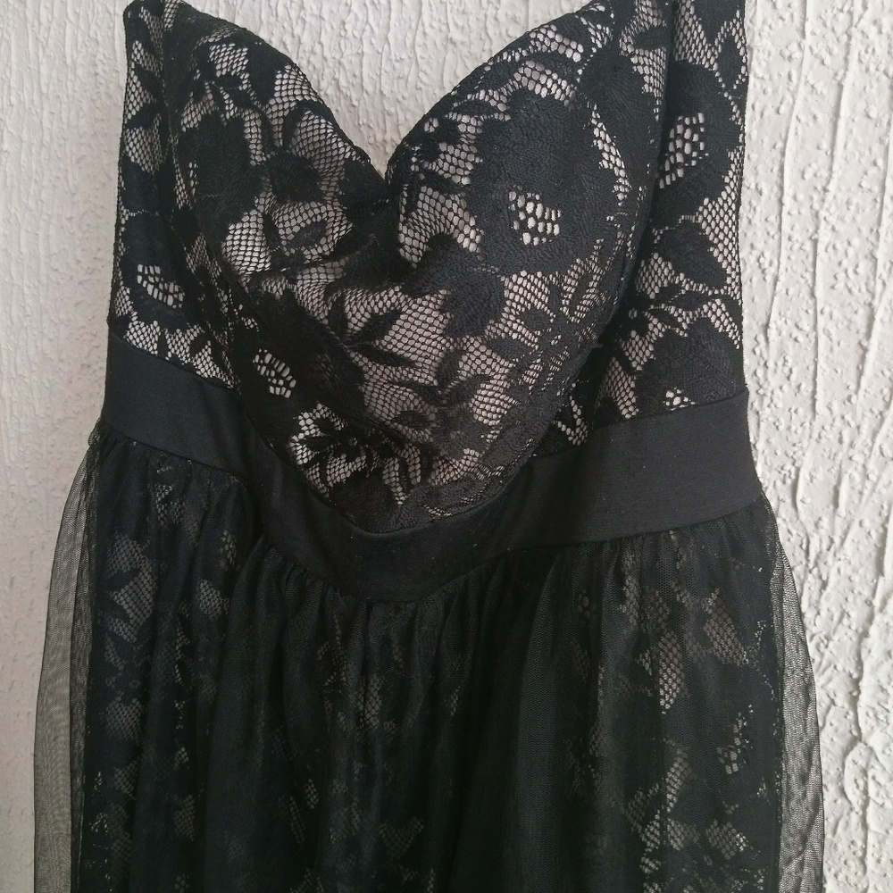 Plus Lace and Tulle overlay dress